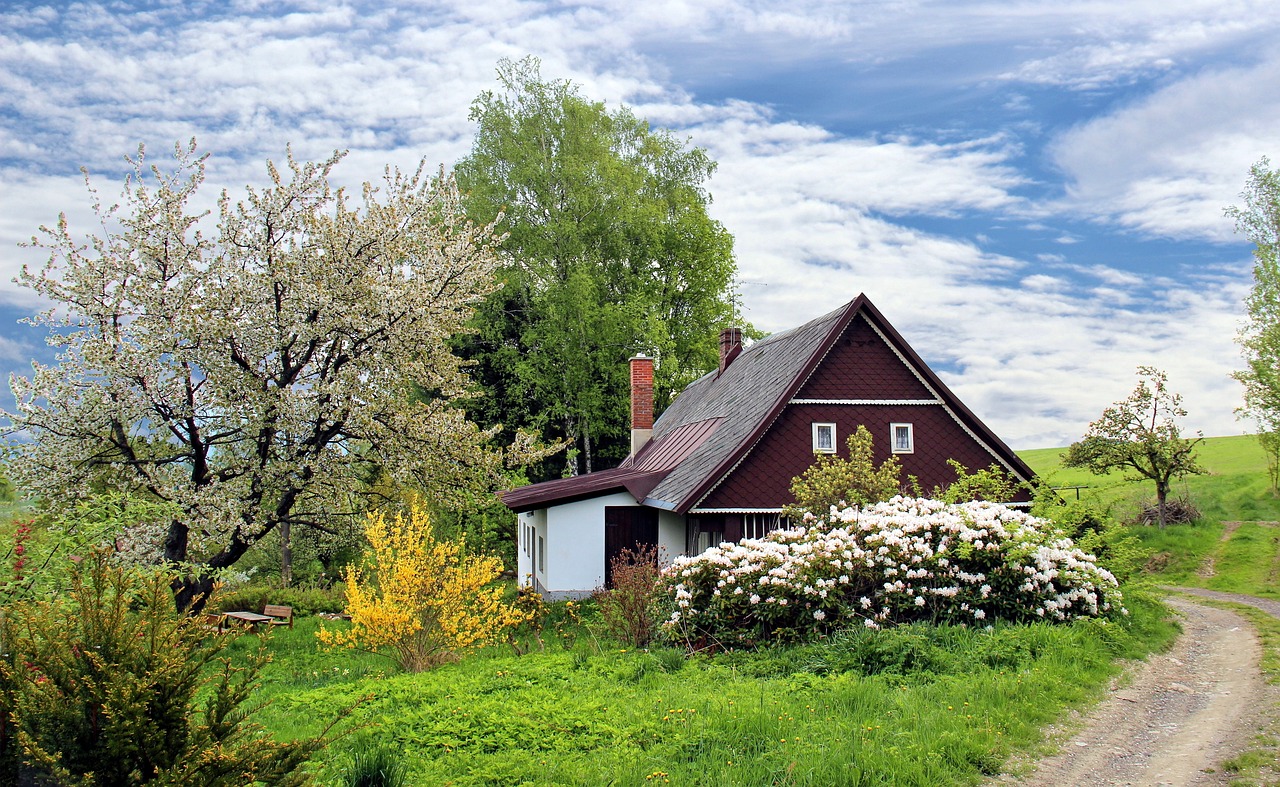 How to Design a Drought-Tolerant Garden